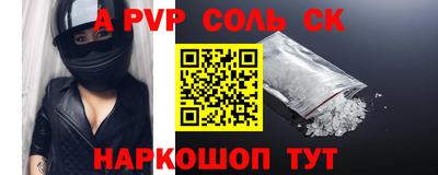 амф Сланцы