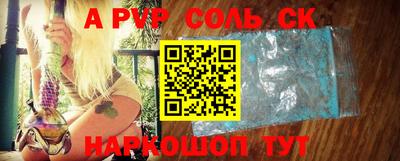 амф Сланцы
