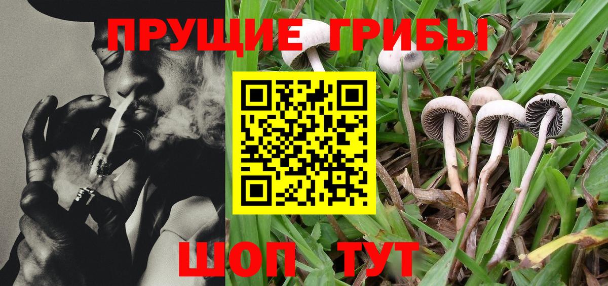 купить  сайты  Псилоцибиновые грибы MAGIC MUSHROOMS  Вход с VPN  Надым 